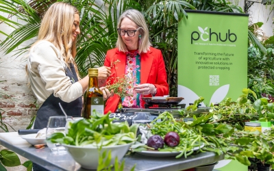 Senator Lisa Darmanin stands beside another person at a table filled with fresh herbs, leafy greens, and vegetables, engaging in discussion at the ARC Research Hub for Protected Cropping (PC Hub) launch event. A green PC Hub banner is visible in the background, along with lush indoor plants.