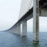 Image credit: Pexels (Public Domain)