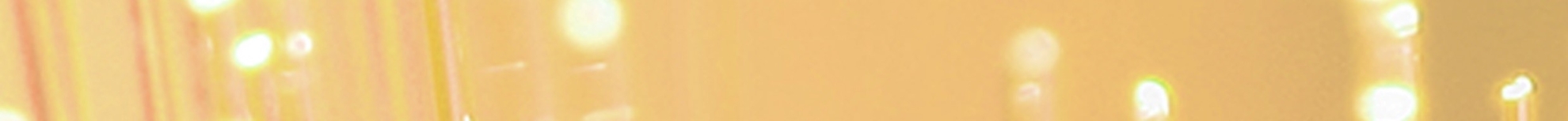 2017 Australian Laureate Fellowships gold footer.