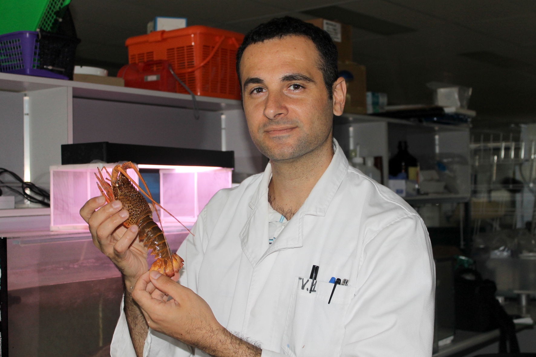 Image courtesy: Dr Tomer Ventura, University of the Sunshine Coast.