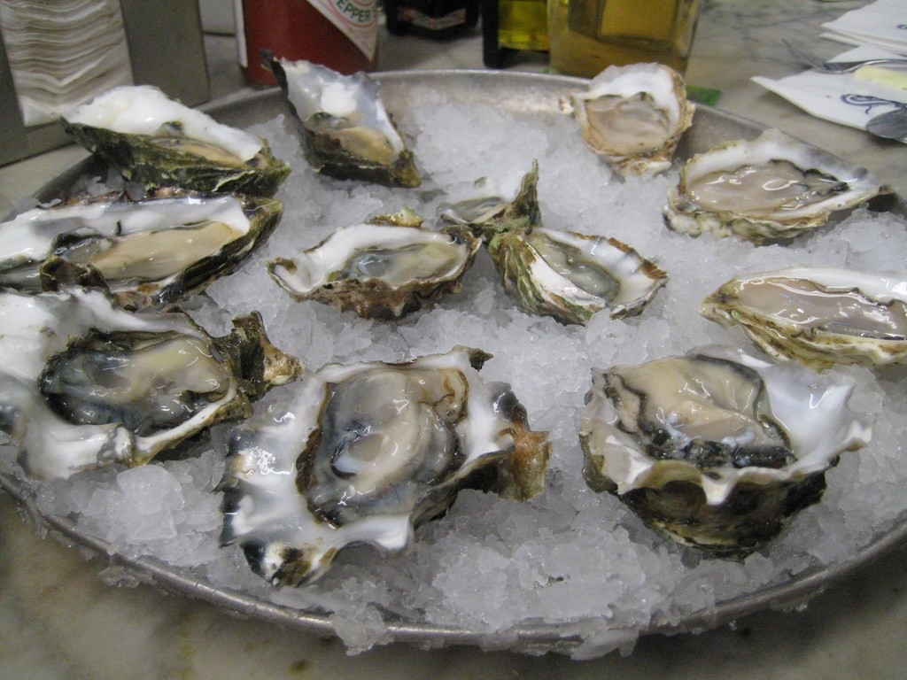 oysters