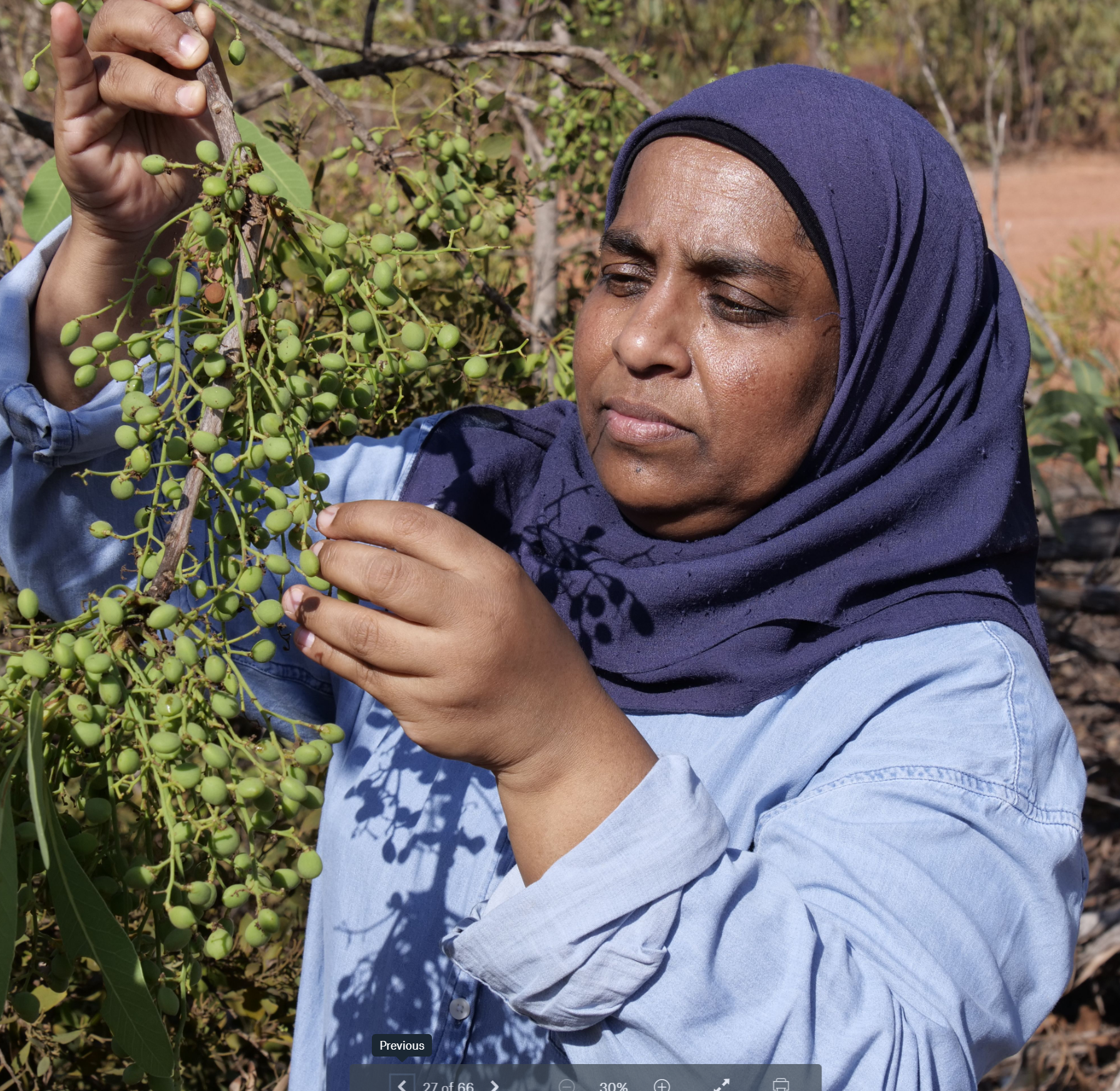 Associate Professor Yasmina Sultanbawa with green plum in East Arnhem Land © UQ