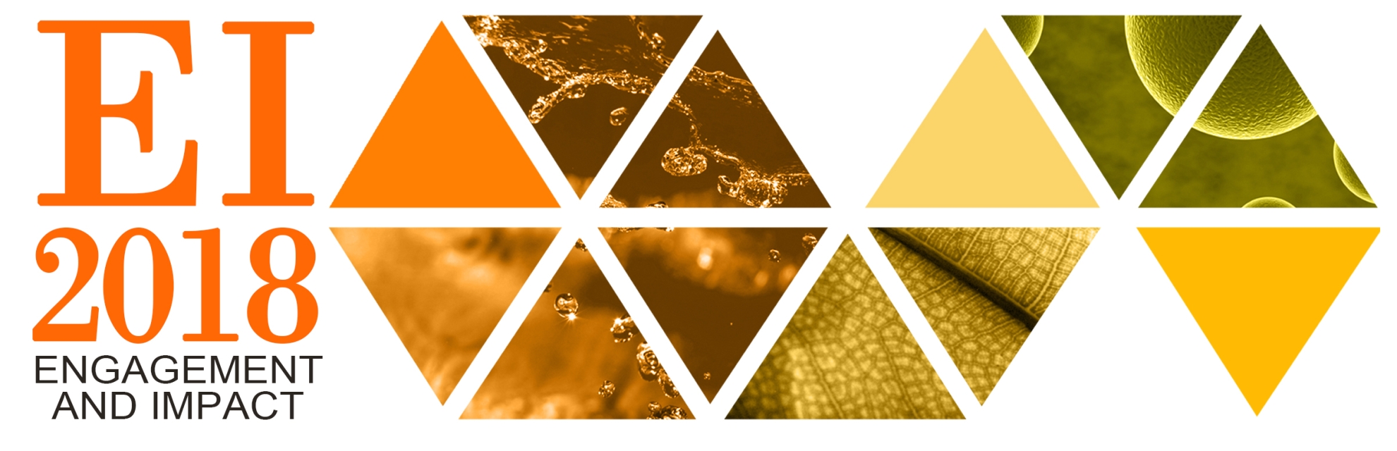 Engagement and Impact banner logo