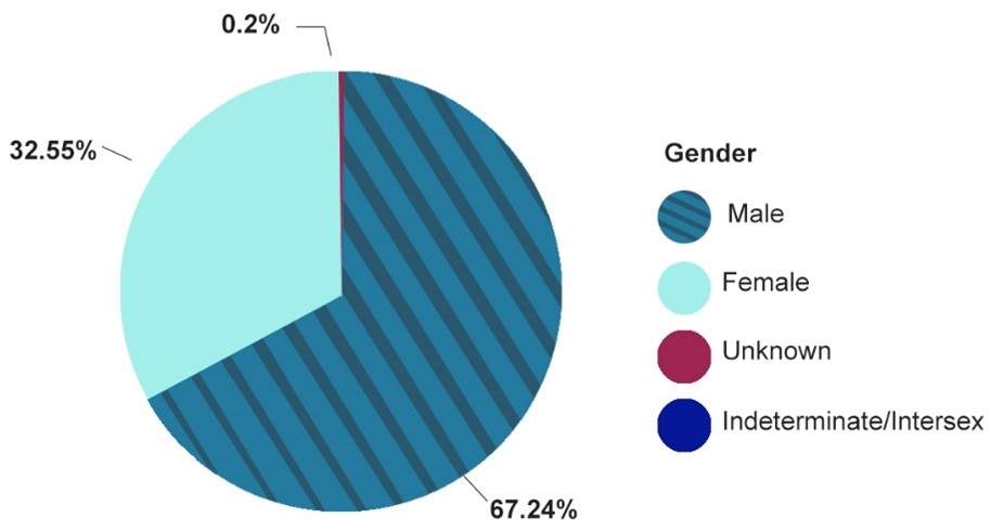 0.2% Unknown, 32.55% Female, 67.24% Male 