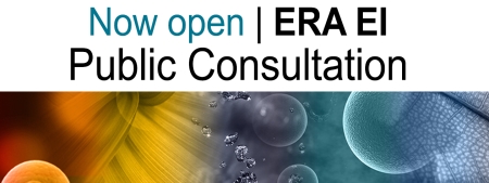 ERA EI public consultation ERA EI public consultation