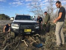 Measuring methane emissions from a forest of dead mangroves in the Gulf of Carpentaria Measuring methane emissions from a forest of dead mangroves in the Gulf of Carpentaria