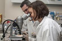 Image caption: 2015 Tall Poppy Dr Caitlin Byrt, with nominator and former award recipient, Associate Professor Matthew Gilliham
