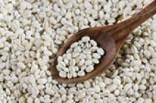 Image: Barley On Spoon