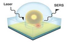 Image: A single molecule, trapped by the thermoresponsive polymer in the nanogap, is irradiated by laser light and emits SERS radiation enhanced by the nanoparticle plasmonic resonance.