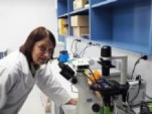 Image: Professor Ewa Goldys