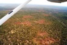 Image caption: Forest dieback caused by an extreme drought and multiple heatwaves in 2010 and early 2011 in the Northern Jarrah Forest region in southwest Western Australia.