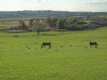 Image: Marfurlong Farm.