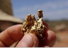 Image: Gold nugget found in the field.