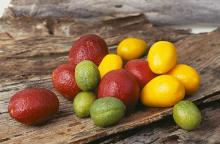 Image: Cultivars of native Australian limes. Image credit: CSIRO (CC BY 3.0). Image: Cultivars of native Australian limes. Image credit: CSIRO (CC BY 3.0).