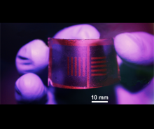Credit: Swinburne University of Technology Credit: Swinburne University of Technology