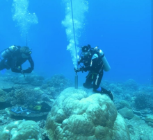 400-YEAR EL NIÑO RECORD 400-YEAR EL NIÑO RECORD