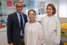 Professor Ralph Nanan and co-authors Dr Mingjing ‘Phyllis’ Hu and Dr Brigitte Santner-Nanan at Nepean Hospital. Photograph by Dominic Santangelo Professor Ralph Nanan and co-authors Dr Mingjing ‘Phyllis’ Hu and Dr Brigitte Santner-Nanan at Nepean Hospital. Photograph by Dominic Santangelo