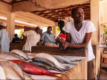 A fish market near the Indian ocean. Credit: Tane Sinclair-Taylor A fish market near the Indian ocean. Credit: Tane Sinclair-Taylor