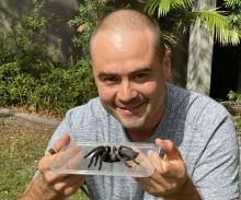 Spiderman - Dr Volker Herzig Spiderman - Dr Volker Herzig