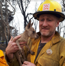 A Huron–Manistee National Forests employee, on secondment to Australia, holds a kangaroo joey. A Huron–Manistee National Forests employee, on secondment to Australia, holds a kangaroo joey.