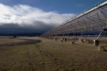 East-arm of the Molonglo Telescope on a cool winter morning. Credit: Marcus Lower, ARC Centre of Gravitational Wave Discovery (OzGrav) East-arm of the Molonglo Telescope on a cool winter morning. Credit: Marcus Lower, ARC Centre of Gravitational Wave Discovery (OzGrav)