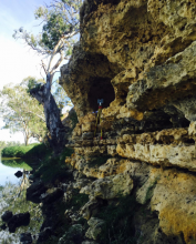 Western cavity Pudjinuk Rockshelter study. Credit: Amy Roberts, Flinders University Western cavity Pudjinuk Rockshelter study. Credit: Amy Roberts, Flinders University
