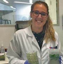 Annamaria de Rosa working in the lab to explore the diversity and function of aquaporins inside plant cells. Credit: Dr Tory Clark, CoETP. Annamaria de Rosa working in the lab to explore the diversity and function of aquaporins inside plant cells. Credit: Dr Tory Clark, CoETP.