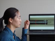 Dr Shikui Yao Dr Shikui Yao
