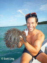 Dr Scott Ling with a crown of thorns starfish Dr Scott Ling with a crown of thorns starfish