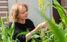Dr Emma Mace from QAAFI's Centre for Crop Science Dr Emma Mace from QAAFI's Centre for Crop Science
