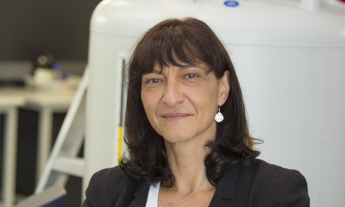 Professor Maria Forsyth. Credit: ARC Industrial Transformation Training Centre in Future Energy Storage Technologies.