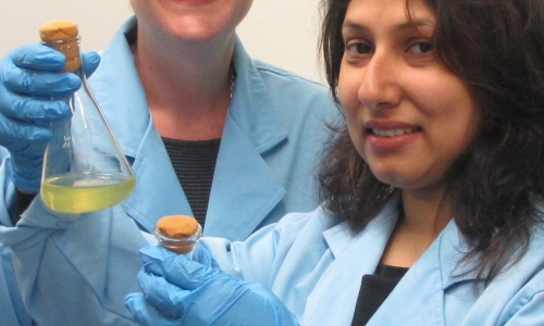 Dr Sasha Tetu, with PhD student, Ms Indrani Sarker