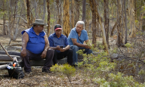 Darryl Kickett (centre) with Narrogin-based Research Assistant and Dryandra  Wilman Elder Travis Abraham (left) and Wilman Elder Clive Abraham (right).  Credit: Curtin University