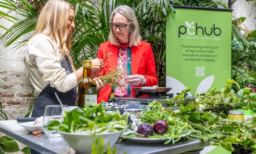 Senator Lisa Darmanin stands beside another person at a table filled with fresh herbs, leafy greens, and vegetables, engaging in discussion at the ARC Research Hub for Protected Cropping (PC Hub) launch event. A green PC Hub banner is visible in the background, along with lush indoor plants.