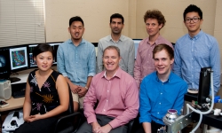 The research team:Top row from left: Jason Jung, Ali Almasi (joint  1st author), Hamish Meffin (joint 1st author), Scott Sun. Bottom row: Molis  Yunzab, Michael Ibbotson (Lab Head), Mitchell Crawford (lab technician).  Credit: ARC Centre of Excellence for Integrative Brain Function.