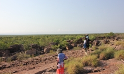 May Nango, Dr Florin and Djaykuk Djandjomerr collecting plants in Kakadu. Credit: Elspeth Hayes, with permission of the Gundjeihmi Aboriginal Corporation.