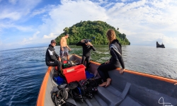 The research team at Kimbe Bay in 2017. Credit: Tane Sinclair-Taylor.