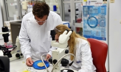 Researchers with Nanopatch.