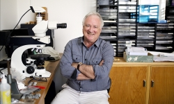 Professor Ross Large