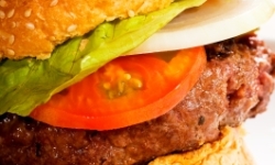 Image: Classic Hamburger Sandwich Image courtesy: KEKO64 at FreeDigitalPhotos.net