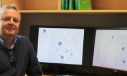 Image: Professor David Edwards