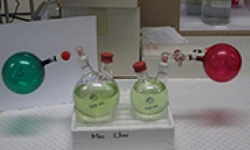 Image: Creating extreme oxygen environments for A. Marina in the lab