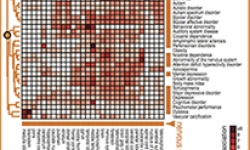 Image: Researchers identified significant associations between cell types and traits.