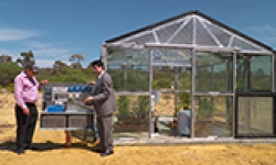 Image: MR Victor Rosenberg, the CEO of ClearVue (left), and Professor Kamal Alameh(right), outside a prototype greenhouse using the new energy harvesting glass, on the ECU campus.