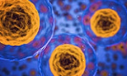 Image: The Cellular Environment