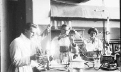 Photo: Chemistry Department Laboratory, 1927. Photograph by H Cazneaux.