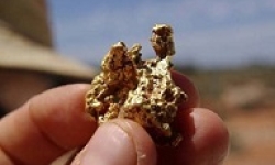 Image: Gold nugget found in the field.