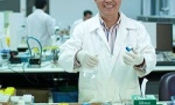 Image: Professor Huijun Zhao in the lab.