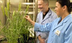 Prof Ian Small and Joanna Melonek