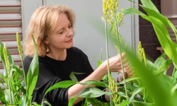 Dr Emma Mace from QAAFI's Centre for Crop Science Dr Emma Mace from QAAFI's Centre for Crop Science